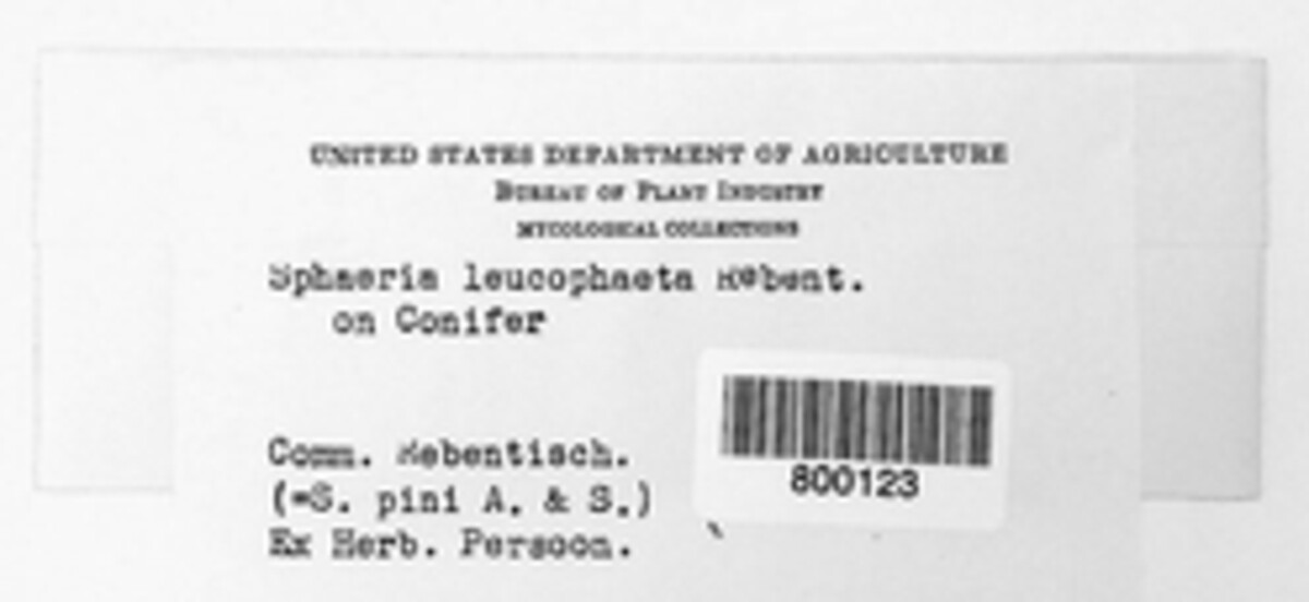 Sphaeria leucophaeata image